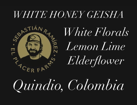 El Placer White Honey Geisha