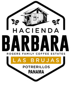 Lot V-05: Mrs. Barbara Pacamara 2022 auction