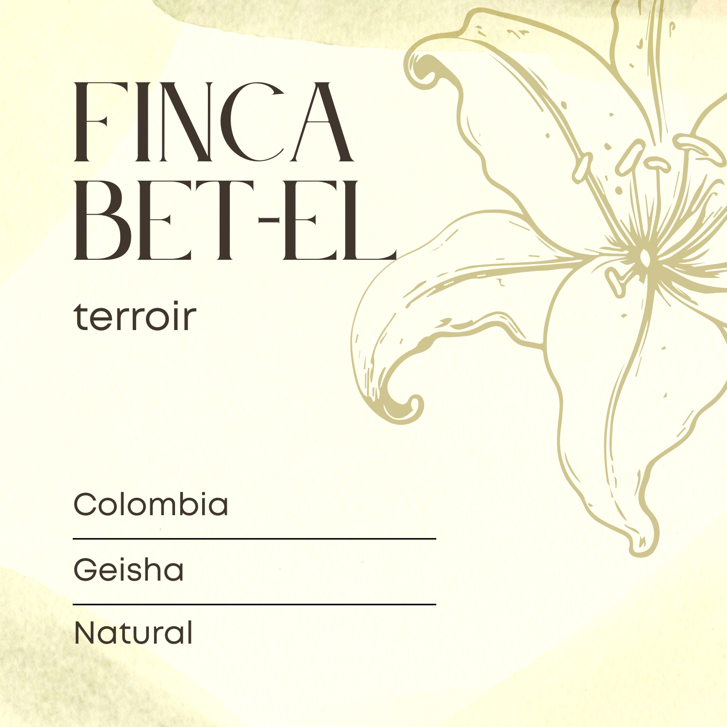 Finca Betel Geisha
