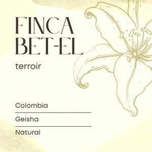 Finca Betel Geisha