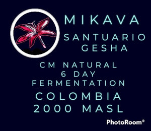 Mikava Santuario Gesha 6 Day Fermentation