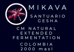 Mikava Santuario Gesha Extended Fermentation