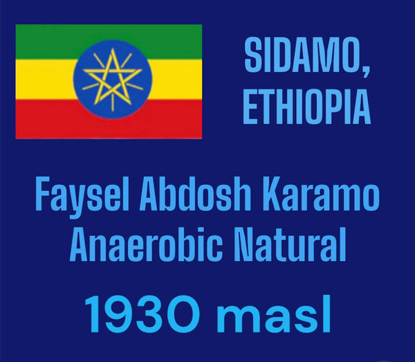Ethiopia Sidamo Faysel Abdosh Karamo Anaerobic Natural