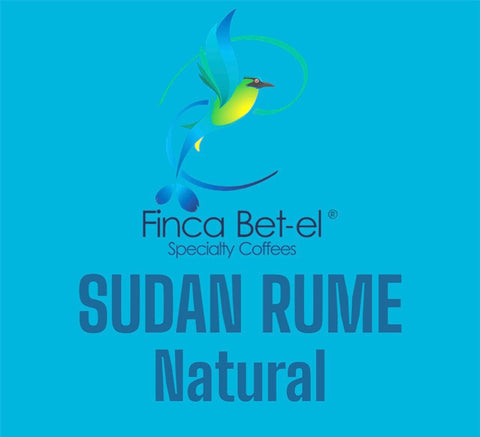 Finca Betel Sudan Rume