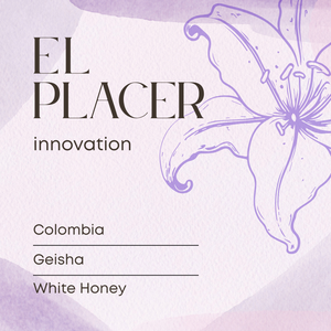 El Placer White Honey Geisha