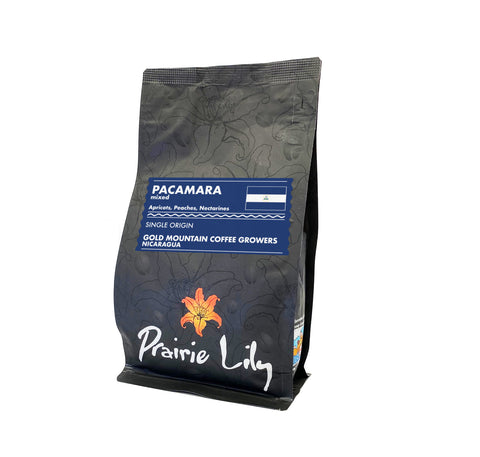 Gold Mountain Coffee Growers Pacamara